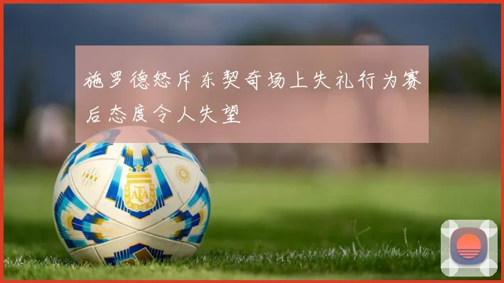 施罗德怒斥东契奇场上失礼行为赛后态度令人失望